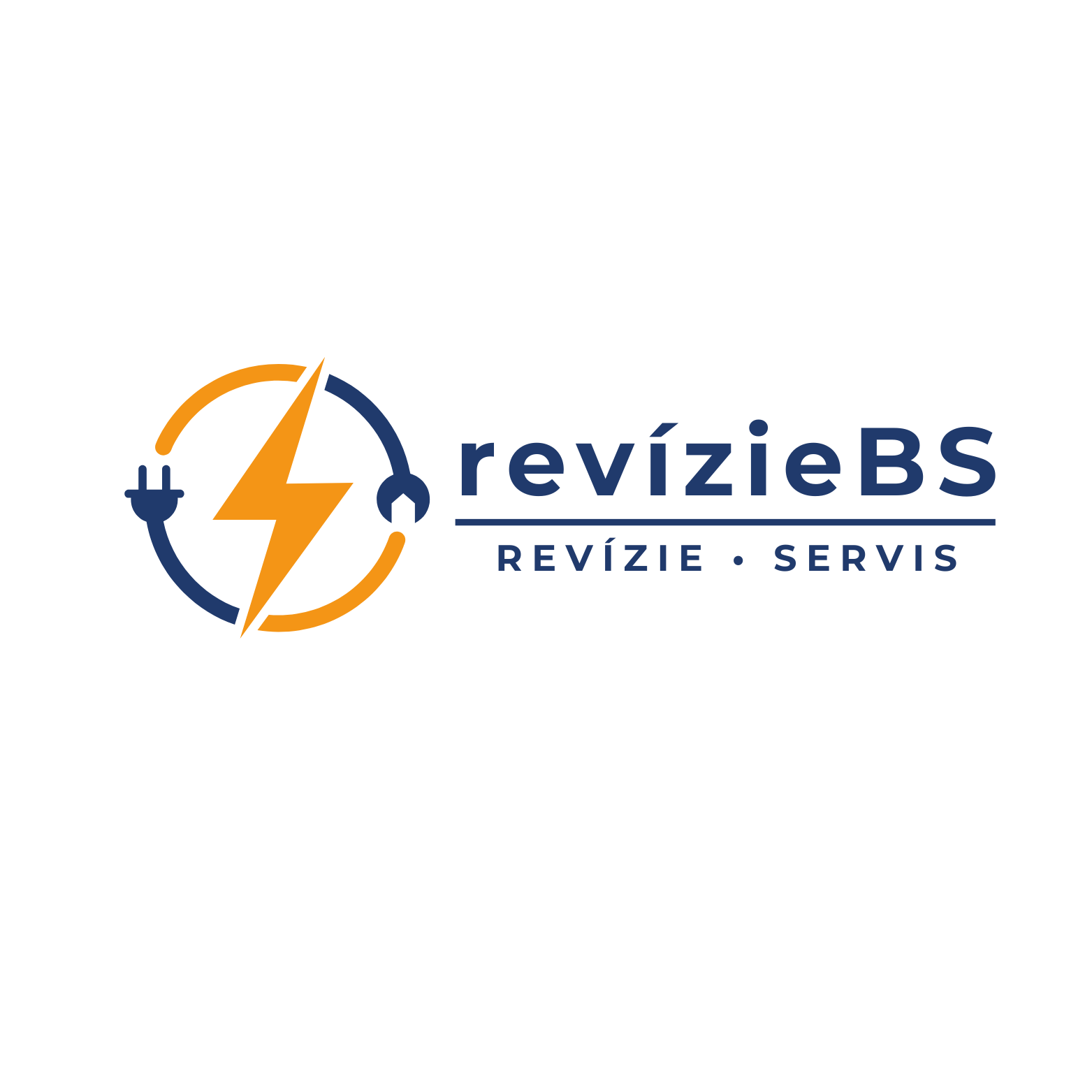 RevizieBS
